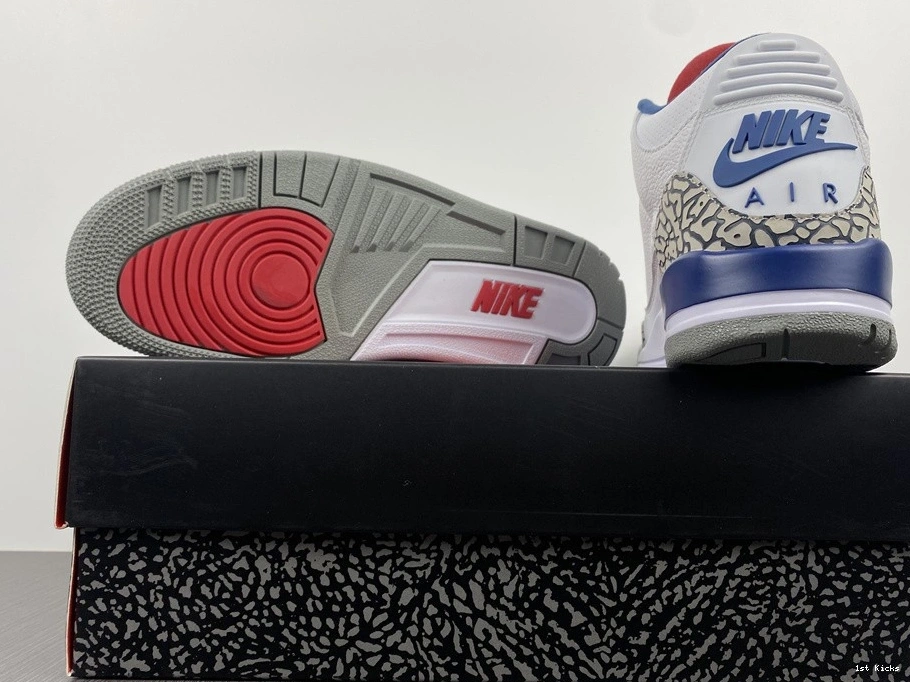 Blue Retro  Jordan 854262-106 (2016) True 3  0201